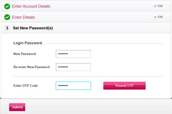 Enter New Password and Submit